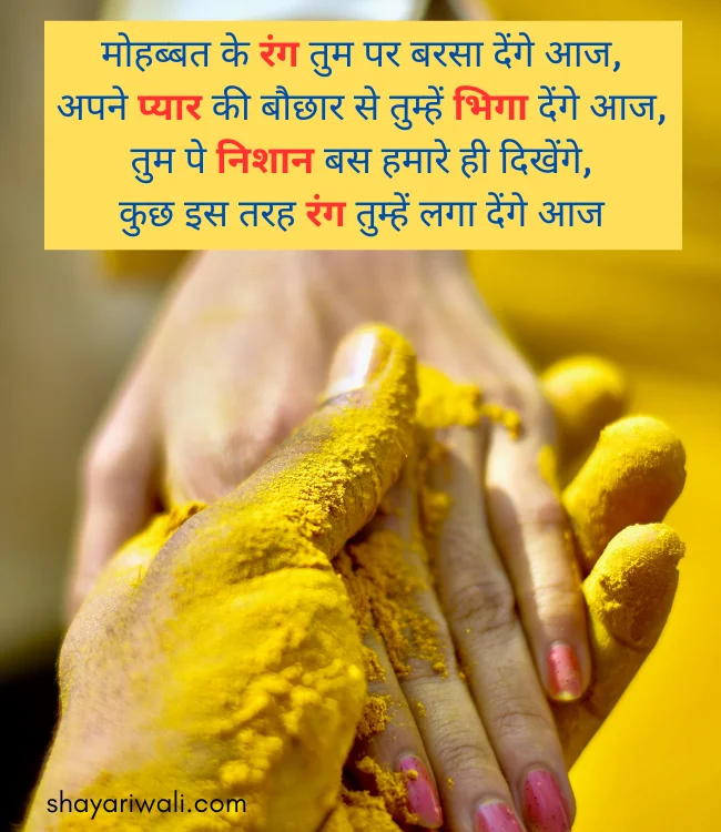 happy holi love status