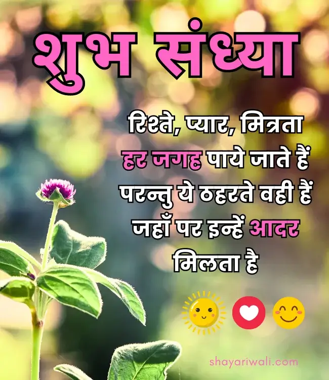 Good Evening Status in Hindi