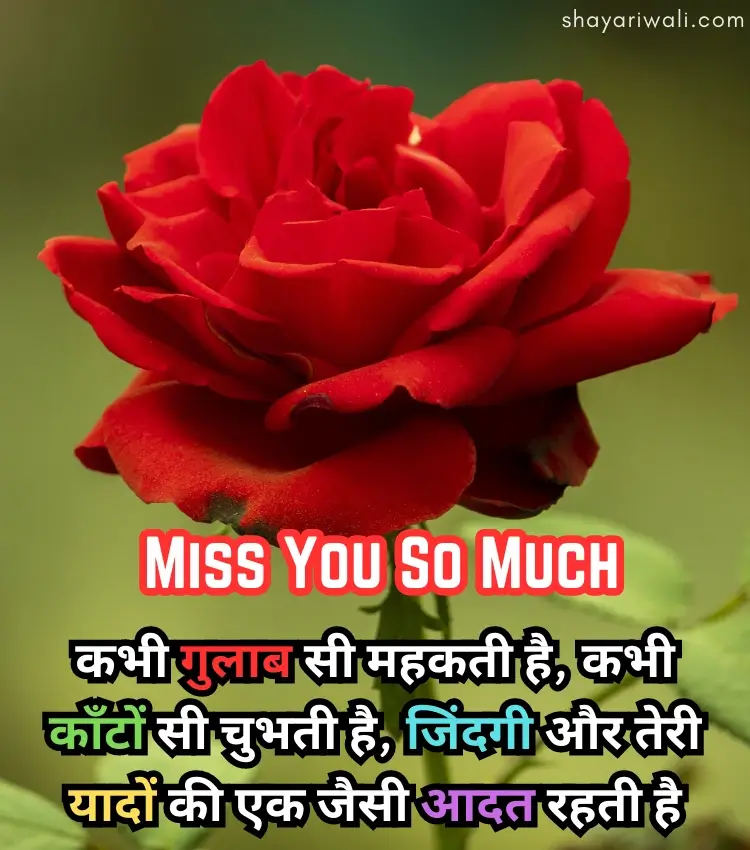 Miss You Shayari Flower Image