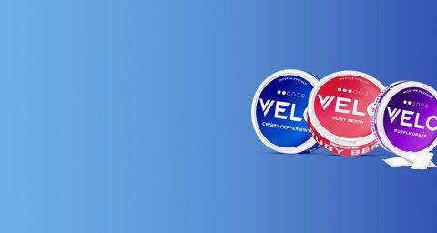 dv 2024 12 20 02 52 03 37850