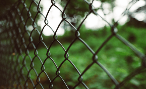 Chain link fence across some vegetation
